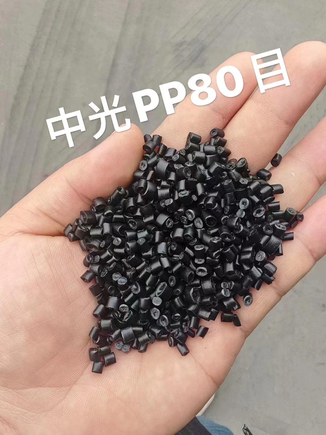 中光PP.jpg