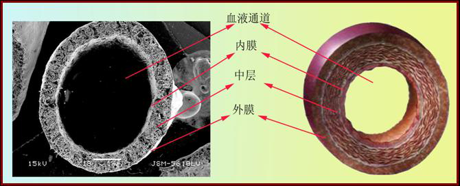 点击查看高清原图